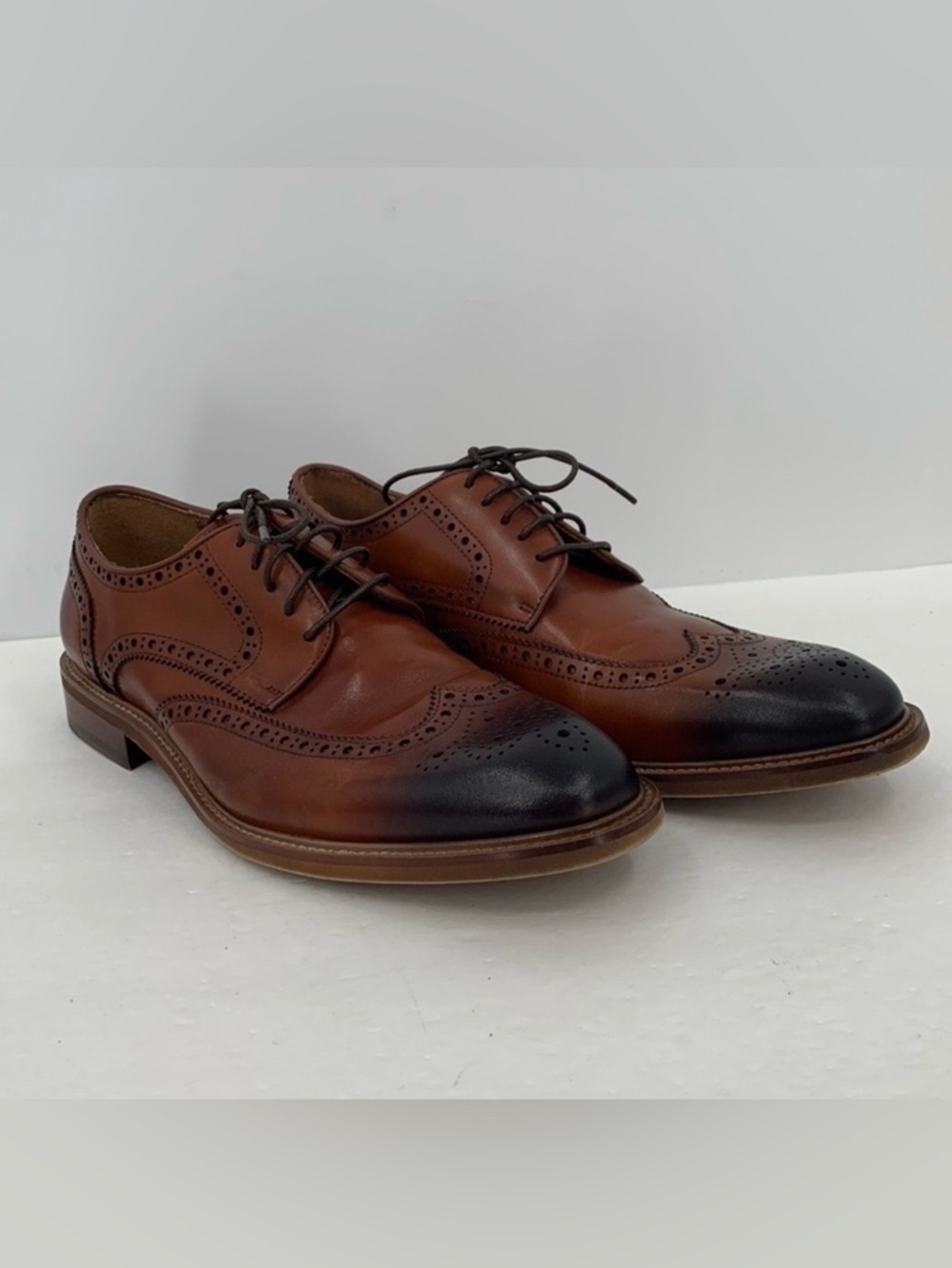 Steve Madden Hoxton wingtip derby shoe tie brown leather burnished oxford men 10